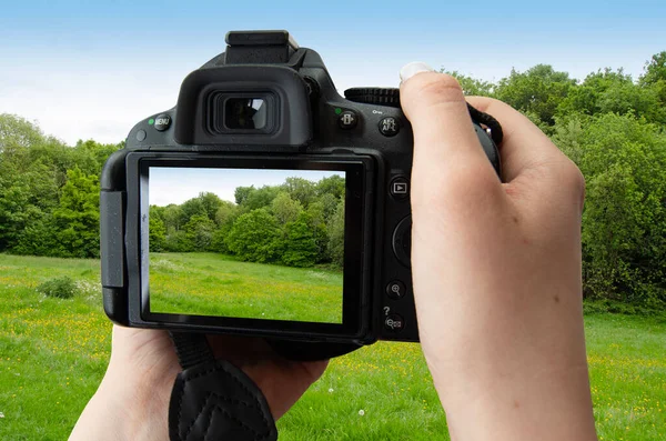 Image Girls Hands Holding Digital Camera Taking Picture Trees Clipping — Stock Photo, Image