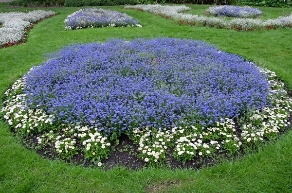 Blue and white flowers in a circle at Victorian Garden of Sheffield Botanical gardens