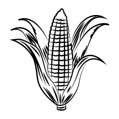 Kurumuş mısırın çizim tarzı simgesi 