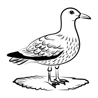 Martının el çizimi biçim simgesi 