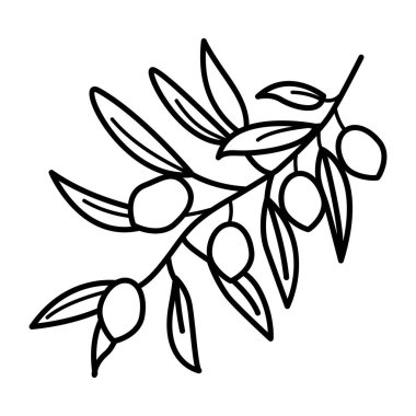 Zeytin dalının kabataslak bir simgesi.