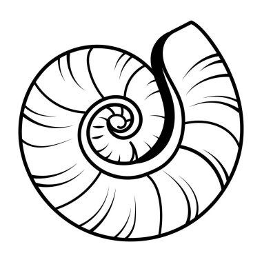 Spiral kabuğun el çizimi simgesi