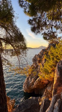 Engebeli altın kayalıklar, kıyı sahnesindeki çam dalları tarafından çerçevelenmiş turkuaz suların üzerinde yükseliyor. Yüksek kalite fotoğraf