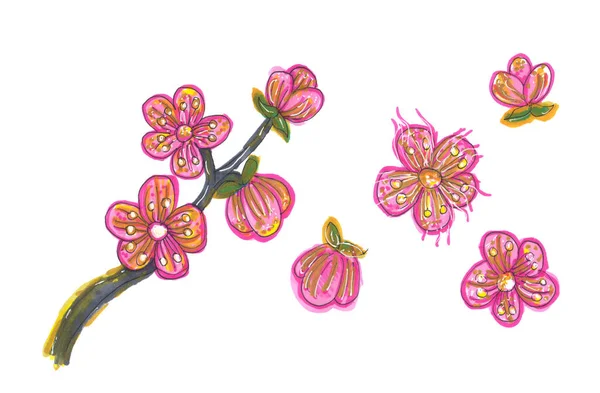 一套手绘的盛开的樱花枝条和白色背景的卡通风格的花朵 标识说明 — 图库照片