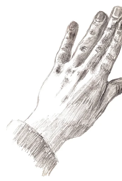 Kézzel Rajzolt Illusztráció Kéz Monokróm Fehér Háttér Ceruzarajzolás — Stock Fotó
