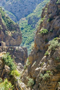 Güzel doğal dağ ve orman
