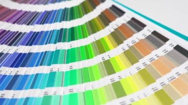 Grafik tasarımcısı renk palet rehberinden renkler seçer. En iyi Pantone renklerini keşfet