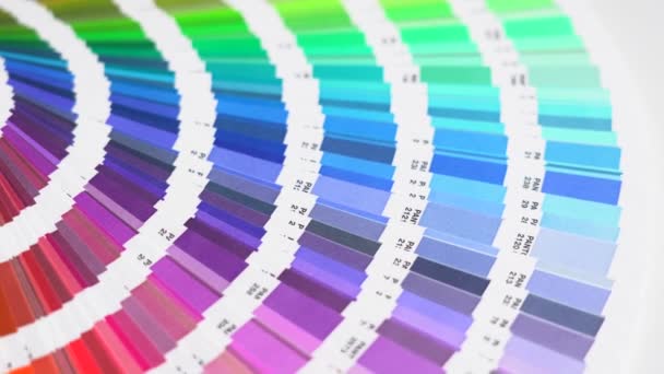 Grafický Designér Vybírá Barvy Barevného Paletového Průvodce Objevte Nejlepší Barvy — Stock video