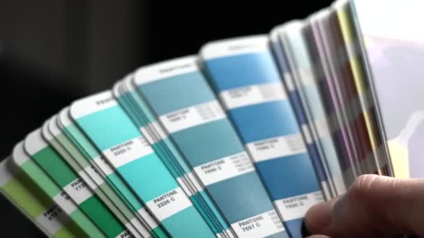 グラフィックデザイナーはカラーパレットガイドから色を選択します 最高のパントン色を発見 — ストック動画
