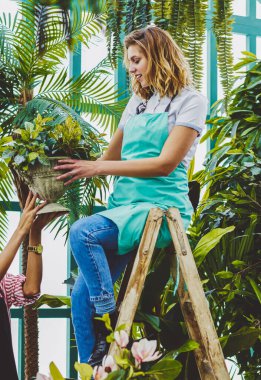 Asyalı başarılı botanikçinin, yeşil konservatuardaki ahşap merdivende oturan ve bitki, girişimcilik ve bahçıvanlık konseptiyle ot veren kadın meslektaşıyla işbirliği yaptığı portresi.