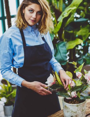 Çiçek hobisi için harcadığı süre boyunca çiçekçilikte bahçeyle uğraşan pozitif botanikçinin yarım boy portresi. Profesyonel önlüklü başarılı bir kadın kendi konservatuarında dikilirken kameraya bakıyor.
