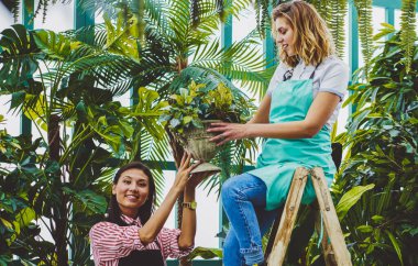 Asyalı başarılı botanikçinin, yeşil konservatuardaki ahşap merdivende oturan ve bitki, girişimcilik ve bahçıvanlık konseptiyle ot veren kadın meslektaşıyla işbirliği yaptığı portresi.