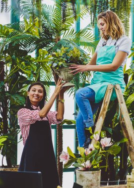 Asyalı başarılı botanikçinin, yeşil konservatuardaki ahşap merdivende oturan ve bitki, girişimcilik ve bahçıvanlık konseptiyle ot veren kadın meslektaşıyla işbirliği yaptığı portresi.