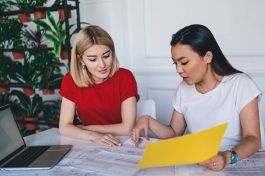 Çok ırklı, güler yüzlü kadınlar, gündelik giysiler içinde evrak işleriyle uğraşıyorlar. Gazeteler ve akıllı telefonlar ile birlikte modern ışık yaratıcı çalışma sahasında oturuyorlar.