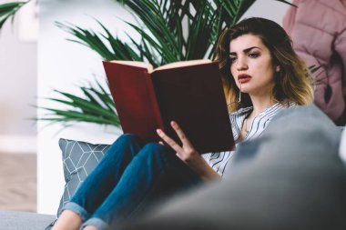 Düşünceli genç kadın rahat bir kanepede uzanıp kitap okuyor ve evde boş vakitlerin tadını çıkarıyor. Konsantre hipster kız, sınav kitaplarından ders kitaplarına hazırlanırken bilgi öğreniyor.