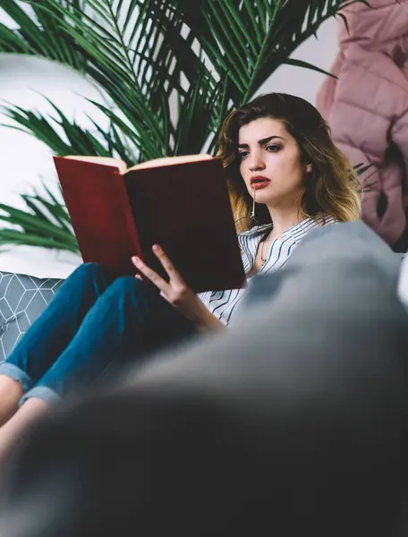 Düşünceli genç kadın rahat bir kanepede uzanıp kitap okuyor ve evde boş vakitlerin tadını çıkarıyor. Konsantre hipster kız, sınav kitaplarından ders kitaplarına hazırlanırken bilgi öğreniyor.