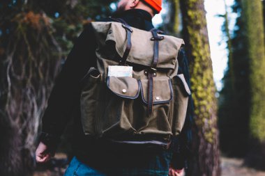 Aktif giyinmiş profesyonel turistin arka görüntüsü, yüksek yeşil ağaçlı doğal çevreye hayran olan erkek yürüyüşçü, dünyayı keşfetmek için dünya seyahati sırasında Ulusal Park 'ta gezinti şehvetinin tadını çıkarıyor.