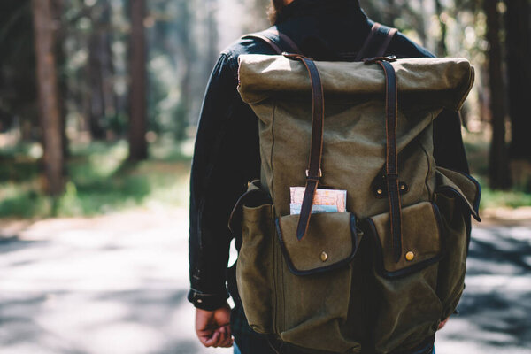 Back view of male explorer with backpack hiking in national park on active weekend for maintaining healthy lifestyle, guy wanderlust discover nature of forest on trekking tour during journey