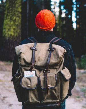 Aktif giyinmiş genç bir adamın, yürüyüş sırasında eğlendiği arka manzara. Sırt çantalı erkek turist vahşi doğayı keşfediyor ve yeşil ormandaki güzel ve yüksek ağaçlara hayran kalıyor.