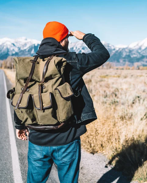 Yürüyüş için şık sırt çantasıyla asfalt yolda dikilirken iyi bir ritm ve tempoyla tepeye çıkmak için dağlara giden yolu arayan genç erkek yürüyüşçünün arka görüntüsü, nefes kesici kavram.