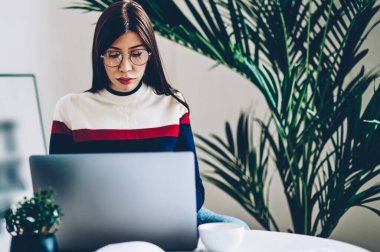 Modern dizüstü bilgisayarla çalışırken e-postaları kontrol eden genç bir kadın rahat bir dairede internet bağlantısı kullanıyor, hipster kız internet sitelerinde insanlarla tanışmak için sohbet ediyor.
