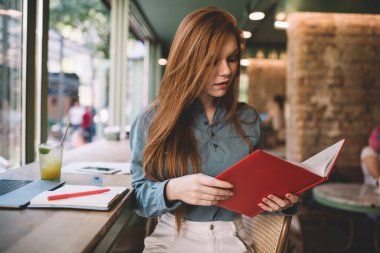 Yoğunlaşmış genç kız öğrenci, gün içinde bulanık kafede elinde bir bardak akıllı telefon dizüstü bilgisayarıyla oturmuş kırmızı ciltli kitap okuyor ve bakıyor.