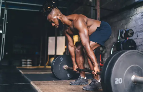 Full body side view of muscular African American bearded male athlete in shorts with shaved dreadlock squatting while lifting heavy barbell during workout in gym