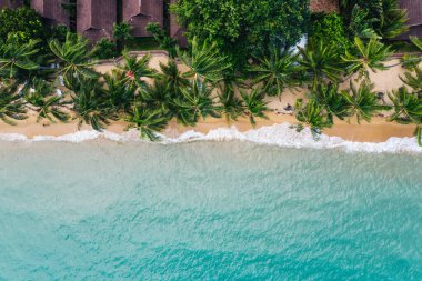 Turkuaz su dalgaları ve yeşil tropikal palmiyelerle dolu pitoresk kıyı şeridi manzarası. Hawaii 'nin cennet sahili kuş bakışı manzarası, yaz tatilleri için güzel bir turizm merkezi.