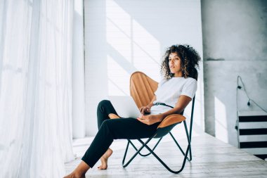 Düşünceli moda, etnik kıvırcık kadın dizüstü bilgisayarda sörf yaparken beyaz odada şık bir sandalyede oturuyor ve başka tarafa bakıyor.