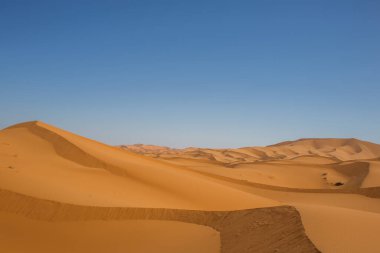 Fas Afrika 'sında açık mavi gökyüzü altında gölgeli ve dalgalı büyük altın kum tepeleri olan güzel doğal çöl manzarası.