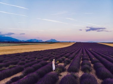 Valensiya 'nın Provence kırsalındaki mor lavanta kokulu tarlaları ziyaret eden bir kadının arka planı. Yazın soluk soluğa kalan mor çiçeklerin yetiştiği kırsal alanların doğa manzarası.