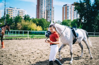 Beyaz atlı kadın 4G kablosuz internet kullanıyor. Kulüp otlağında yürürken. Aktif kadın kontrolü, beyaz atla antrenman yaparken akıllı telefon uyarısı almış.