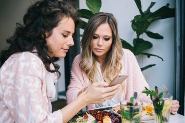 Genç bayan milenyumlar internet sitesinde cep telefonu okuma bilgileri sosyal ağlarda öğle tatilinde, pozitif hipster kız akıllı telefondan restoranlarla ilgili yeni uygulamaları kontrol ediyor.