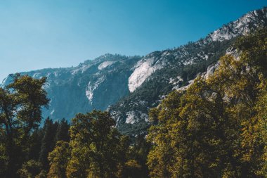 Güneşli bir günde Amerika 'daki Yosemite Ulusal Parkı' nda bulutsuz mavi gökyüzü ve yeşil ormanlarla çevrili inanılmaz bir dağ manzarası.