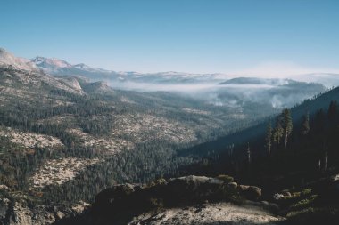 Amerika 'daki Yosemite Ulusal Parkı' nda yeşil ağaçlarla çevrili kayalık dağ arazisinin insansız hava aracı manzarası.