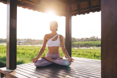 Spor giyim ve meditasyon yaparken sakin bir kadın boş zamanlarında dinlenmek ve aydınlanmak için pirinç tarlaları yakınlarındaki yoga antrenmanlarında zaman harcayan beyaz bir kadın.