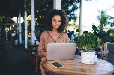 Genç bayan grafik tasarımcısı, dijital dizüstü bilgisayarda 4G kablosuz ağ oluşturmak için internet sitesi oluştururken, modern ağ oluşturma konusunda yetenekli blogger web sayfası