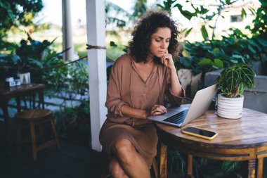 Milenyum bilişim profesyoneli dijital göçebe ve serbest yaşam tarzını web sitesi bilgilerine ulaşmak için dizüstü bilgisayar kullanıyor, yetenekli kadın metin yazarı uzaktan çalışırken içerik planı yaratıyor.