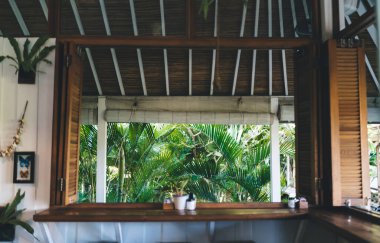 Evergreen palmiye yaprakları, tropikal geziler, kafe terası ve bar gezileri için açık büfe barın yanında büyümekte. Ahşap kırsal detaylar, iç dekorasyonun rahat tasarımı olarak gösterilebilir.