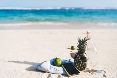 Stil güneş gözlüklü ananas Kumlu sahilde göz koruması için su şişesi deniz kıyısındaki piknik sırasında ferahlatıcı, seyahat sitesi için fotokopi alanı olan boş akıllı telefon aygıtı