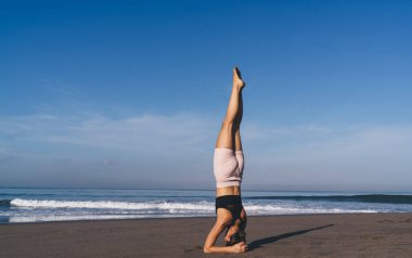 Sıska bayan sporcu, sabah okyanus ve doğal ufuk boyunca amuda kalkma egzersizi yapıyor. Kafkas zinde kız, dayanıklılık ve vücut dengesini sağlıyor. Sağlıklı yaşam tarzını koruyor ve zindeliğe ulaşıyor.