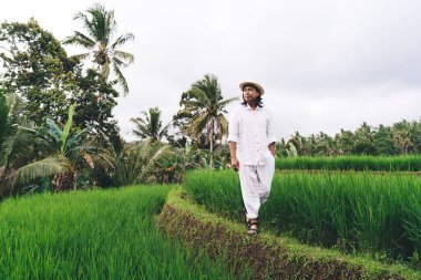 Vietnam 'da pirinç tarlalarında gezinen Balili bir erkek tatil boyunca yaz yolculuğunun keyfini çıkarıyor, şapkalı yetişkin bir çiftçi tarım işi için çeltik tarlasını ziyaret ediyor.