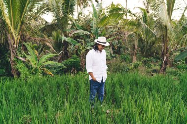 Endonezya 'da yaz günü pirinç tarlalarına gülen 40' lı yaşlardaki neşeli Balili adam, şapkalı mutlu erkek çiftçi Bali çevresindeki çeltik tarlalarının kırsalını ziyaret ediyor.
