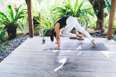 Tahta terasta yoga yapan esnek bir kızın yan görüntüsü. Sağlıklı yaşam tarzı kavramı. Genç esmer atletik kadın spor giysisi giyiyor ve spor minderinde çıplak ayakla dolaşıyor. Bali adası. Güneşli bir gün