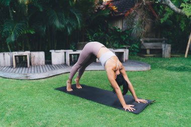 Yoga yapan kız köpek pozu veriyor. Sağlıklı yaşam tarzı kavramı. Spor kıyafetleri giyen genç atletik kadın Bali adasının bahçesinde spor ayakkabısı giymiş spor ayakkabısı giymiş.