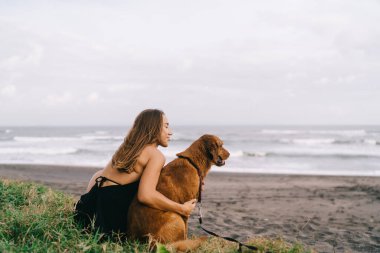 Kaygısız, beyaz elbiseli, favori köpeklere sarılan, sahil şeridinde günlük eğlence sırasında aşk duyguları hisseden, gezgin kız hafta sonu sevimli hayvanlarla ilgilenir.