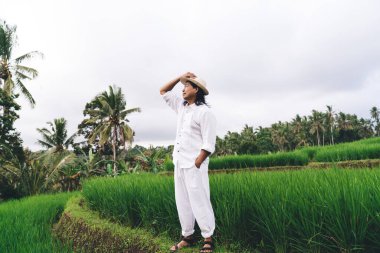 Şapkalı sıradan bir adam Bali 'de hasat mevsiminde çeltik ekimini ziyaret ederken, yetişkin bir erkek çiftçi pirinç tarlalarıyla tarım işine baktığı için Endonezya' ya uluslararası bir gezi düzenliyor.