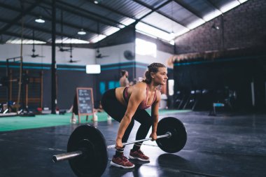 Spor giyimli genç bir bayan halter ekipmanlarını spor salonundaki halter antrenmanı sırasında alıyor. Güçlü formda bir kız tonik olarak vücut kaslarını çalıştırmak için ağırlık kaldırma egzersizi yapıyor. Dayanıklılık.