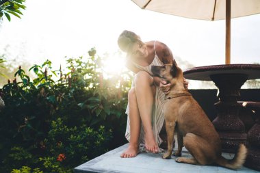 Genç gülümseyen Avrupalı kadın otelin bahçesinde sevimli bir köpeği okşuyor. Turizm, tatil ve hafta sonu. Sahibi ve evcil hayvan ilişkisi ve dostluğu. Güneşli bir gün. Bali adasında huzurlu ve huzurlu bir yaşam tarzı