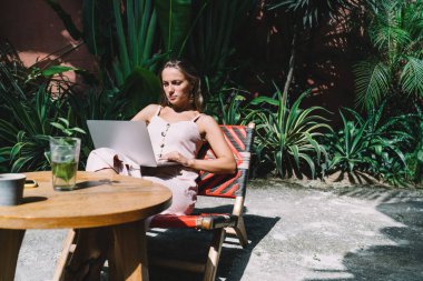 Hippi kız dizüstü bilgisayarda 4G kablosuz internet bağlantısını kullanarak çevrimiçi geri bildirim yazarken sosyal medyada sohbet eden ve mesajlaşan genç bir kadın ağ kurmak için boş zaman harcıyor.